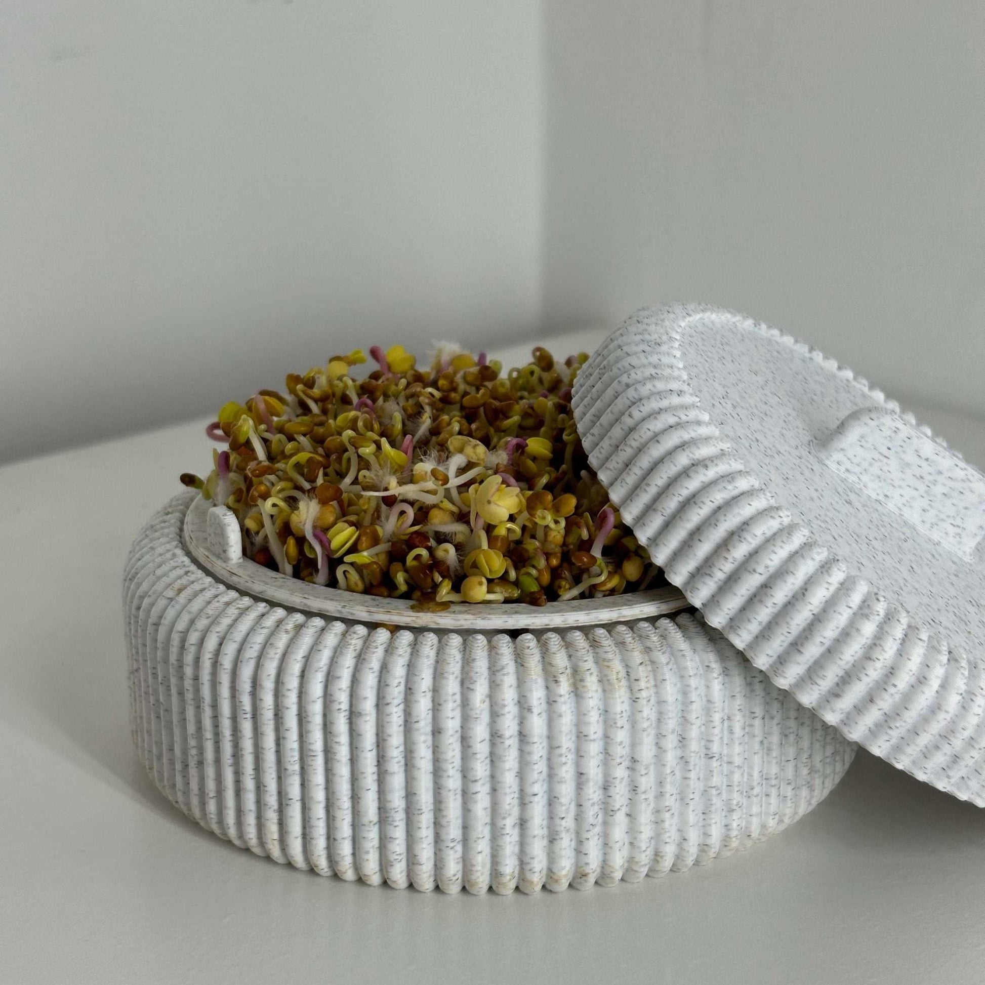 Microgreens Anzucht Set | Kresse | Sprossen | Keimlinge | Radies | Mungobohnen | Superfood | Indoor Garten | Keimsprossen - the-distinct.shop