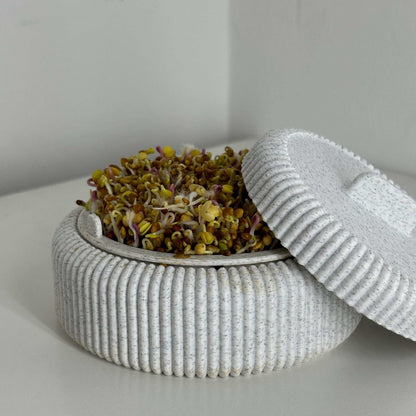 Microgreens Anzucht Set | Kresse | Sprossen | Keimlinge | Radies | Mungobohnen | Superfood | Indoor Garten | Keimsprossen - the-distinct.shop