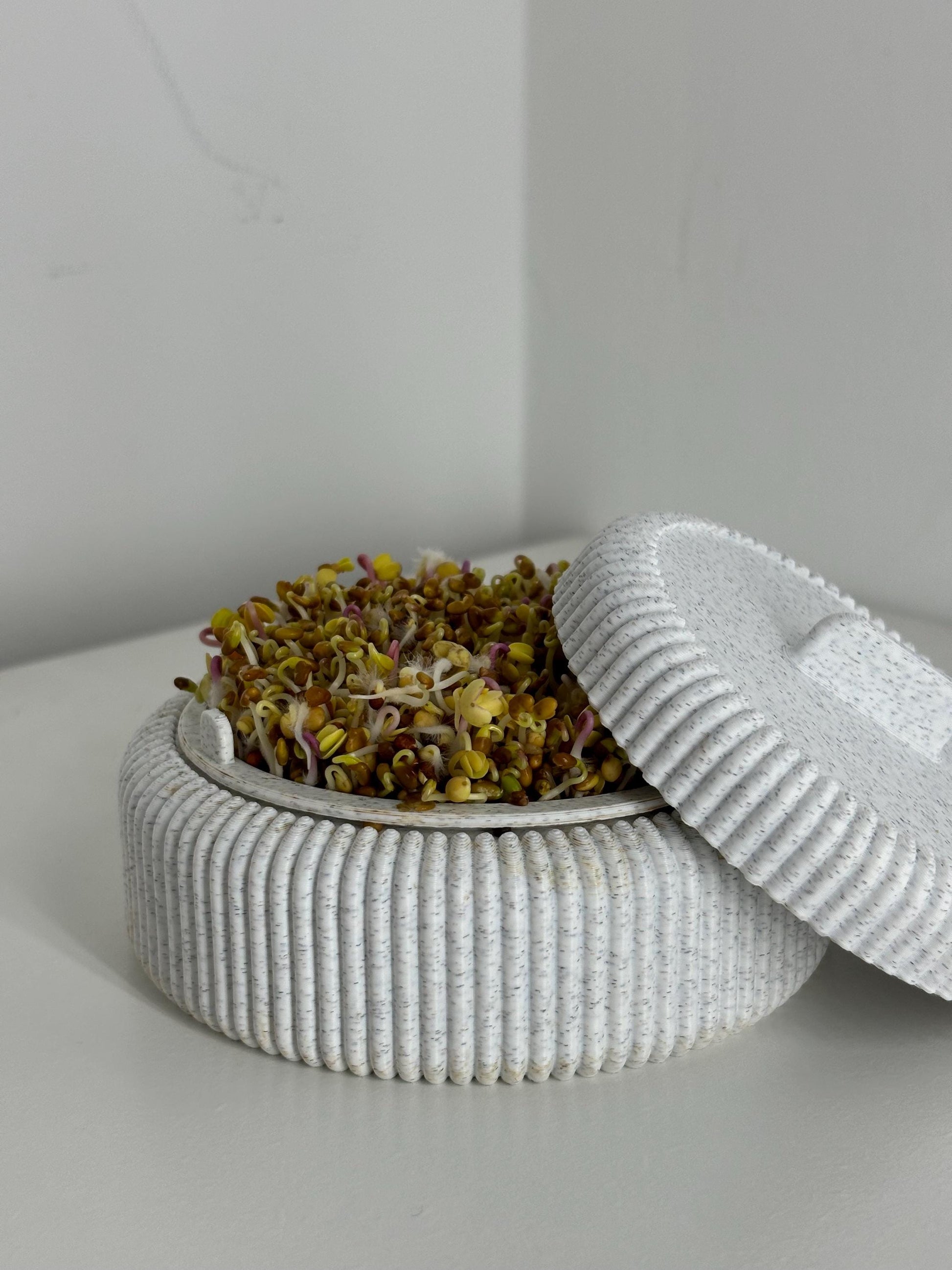 Microgreens Anzucht Set | Kresse | Sprossen | Keimlinge | Radies | Mungobohnen | Superfood | Indoor Garten | Keimsprossen - the-distinct.shop