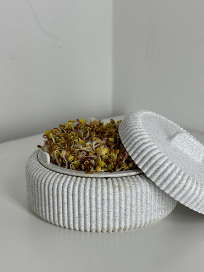 Microgreens Anzucht Set | Kresse | Sprossen | Keimlinge | Radies | Mungobohnen | Superfood | Indoor Garten | Keimsprossen - the-distinct.shop